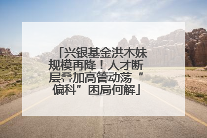 兴银基金洪木妹规模再降！人才断层叠加高管动荡“偏科”困局何解