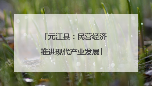 元江县：民营经济推进现代产业发展