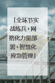 全环节实战练兵+网格化力量部署+智慧化应急管理
