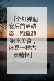 全红婵退赛后首更动态，钓鱼遛狗吃美食，还是一样古灵精怪