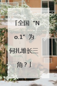 全国“No.1”为何扎堆长三角？