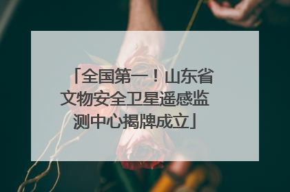 全国第一！山东省文物安全卫星遥感监测中心揭牌成立