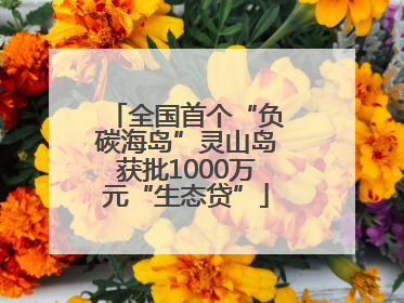 全国首个“负碳海岛”灵山岛获批1000万元“生态贷”