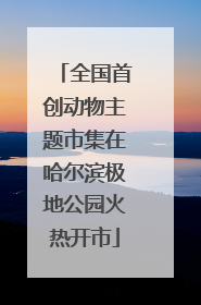 全国首创动物主题市集在哈尔滨极地公园火热开市
