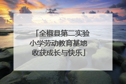全椒县第二实验小学劳动教育基地收获成长与快乐