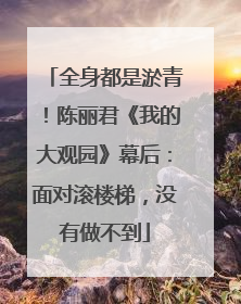 全身都是淤青！陈丽君《我的大观园》幕后：面对滚楼梯，没有做不到