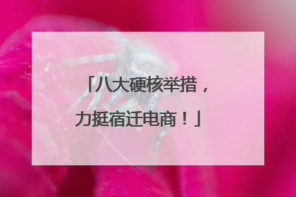 八大硬核举措，力挺宿迁电商！