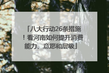 八大行动26条措施！看河南如何提升消费能力、意愿和层级