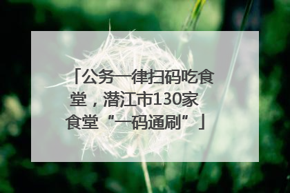 公务一律扫码吃食堂，潜江市130家食堂“一码通刷”