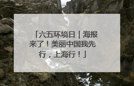 六五环境日｜海报来了！美丽中国我先行，上海行！