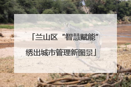 兰山区“智慧赋能”绣出城市管理新图景
