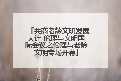 共商老龄文明发展大计 伦理与文明国际会议之伦理与老龄文明专场开幕