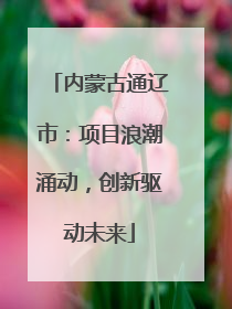 内蒙古通辽市：项目浪潮涌动，创新驱动未来