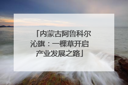 内蒙古阿鲁科尔沁旗：一棵草开启产业发展之路