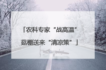 农科专家“战高温” 菇棚送来“清凉策”