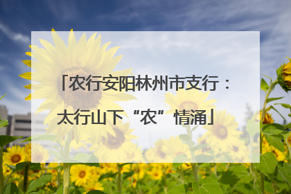 农行安阳林州市支行：太行山下“农”情涌