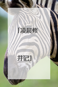 凌晨修井记