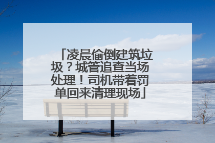 凌晨偷倒建筑垃圾？城管追查当场处理！司机带着罚单回来清理现场