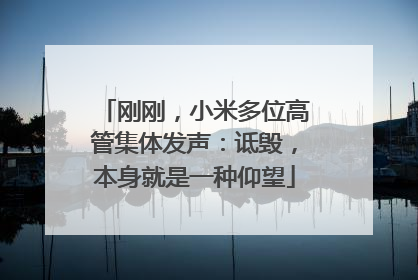 刚刚，小米多位高管集体发声：诋毁，本身就是一种仰望