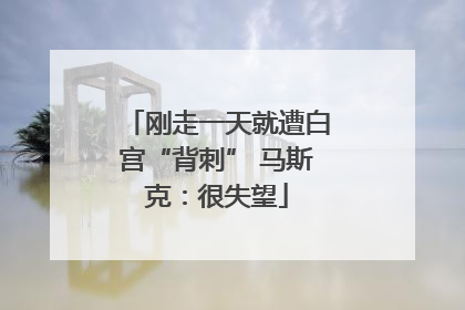 刚走一天就遭白宫“背刺” 马斯克：很失望