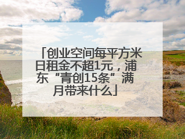 创业空间每平方米日租金不超1元，浦东“青创15条”满月带来什么