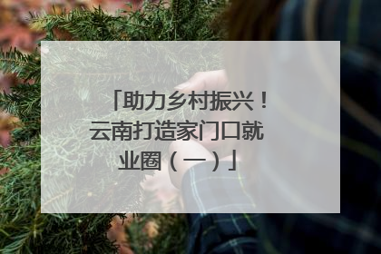 助力乡村振兴！云南打造家门口就业圈（一）