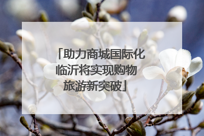 助力商城国际化 临沂将实现购物旅游新突破