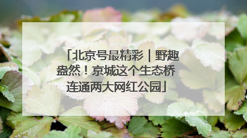 北京号最精彩｜野趣盎然！京城这个生态桥连通两大网红公园