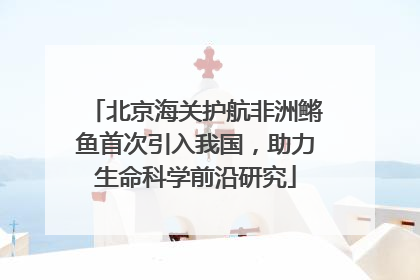 北京海关护航非洲鳉鱼首次引入我国，助力生命科学前沿研究