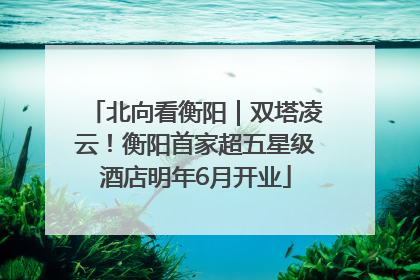 北向看衡阳｜双塔凌云！衡阳首家超五星级酒店明年6月开业