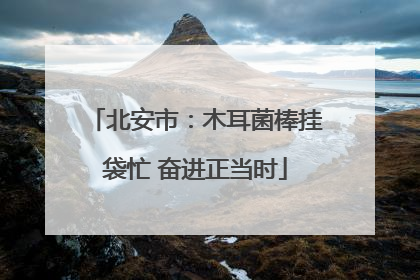 北安市：木耳菌棒挂袋忙 奋进正当时