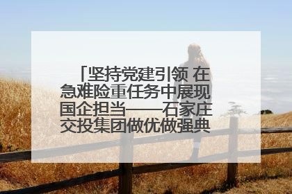 坚持党建引领 在急难险重任务中展现国企担当——石家庄交投集团做优做强典型报道之一