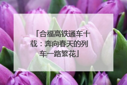 合福高铁通车十载：奔向春天的列车一路繁花
