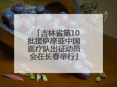 吉林省第10批援萨摩亚中国医疗队出征动员会在长春举行