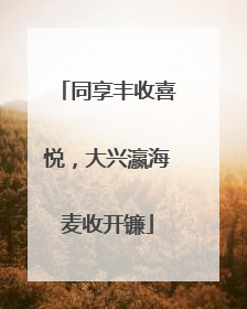同享丰收喜悦，大兴瀛海麦收开镰