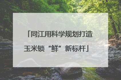 同江用科学规划打造玉米锁“鲜”新标杆