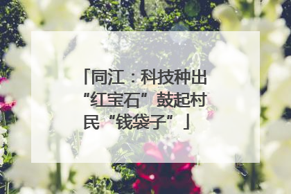 同江：科技种出“红宝石”鼓起村民“钱袋子”