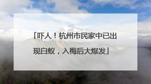 吓人！杭州市民家中已出现白蚁，入梅后大爆发