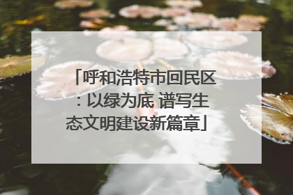 呼和浩特市回民区：以绿为底 谱写生态文明建设新篇章