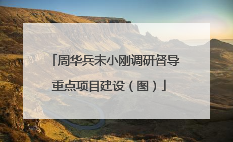 周华兵未小刚调研督导重点项目建设（图）