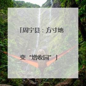 周宁县：方寸地变“增收园”