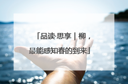 品读·思享｜柳，最能感知春的到来