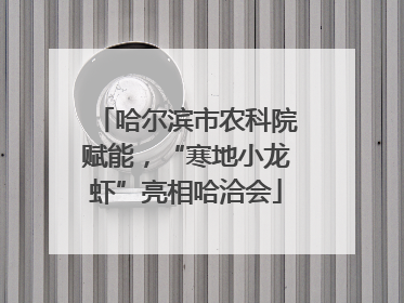哈尔滨市农科院赋能，“寒地小龙虾”亮相哈洽会