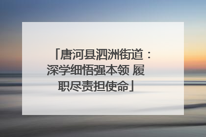 唐河县泗洲街道：深学细悟强本领 履职尽责担使命