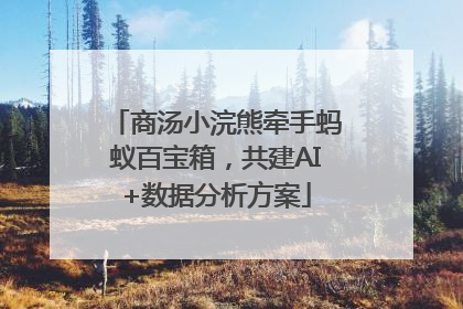 商汤小浣熊牵手蚂蚁百宝箱，共建AI+数据分析方案
