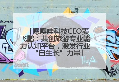 嗯噢哇科技CEO窦飞鹏：共创旅游专业能力认知平台，激发行业“自生长”力量