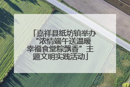 嘉祥县纸坊镇举办“浓情端午送温暖 幸福食堂粽飘香”主题文明实践活动