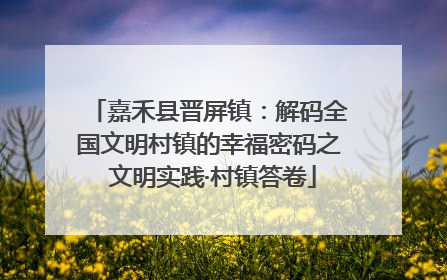 嘉禾县晋屏镇：解码全国文明村镇的幸福密码之 文明实践·村镇答卷