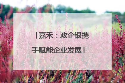 嘉禾：政企银携手赋能企业发展