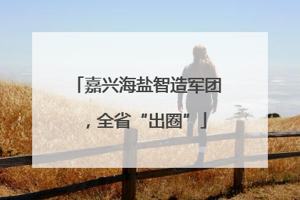 嘉兴海盐智造军团，全省“出圈”